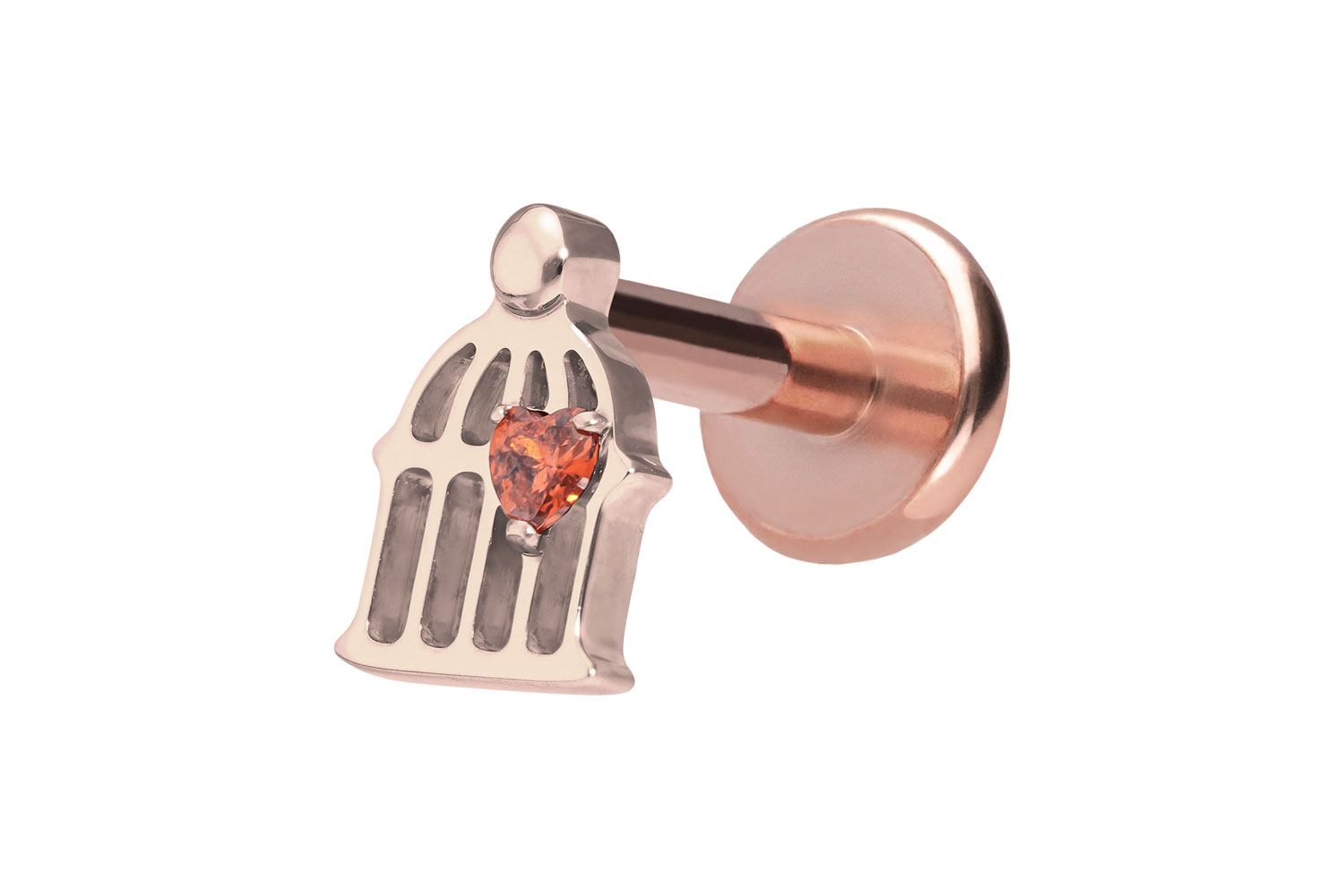 Titan Labret Piercing mit Push Fit KÄFIG